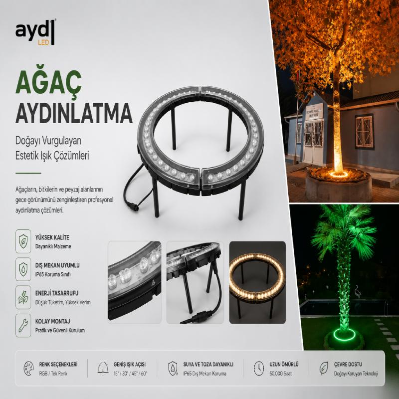 Ağaç Aydınlatma