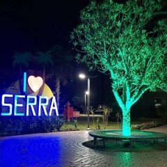 45W Ağaç Aydınlatma Lambası (Palmiyeler İçin Özel Tasarım)