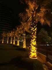 45W Ağaç Aydınlatma Lambası (Palmiyeler İçin Özel Tasarım)