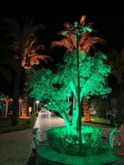 45W Ağaç Aydınlatma Lambası (Palmiyeler İçin Özel Tasarım)