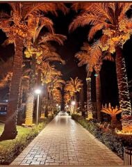 45W Ağaç Aydınlatma Lambası (Palmiyeler İçin Özel Tasarım)