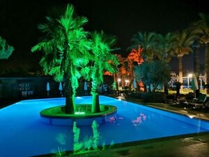 45W LED Ağaç Aydınlatma Armatürü | Çember, Dairesel ve Palmiye Aydınlatma Sistemi