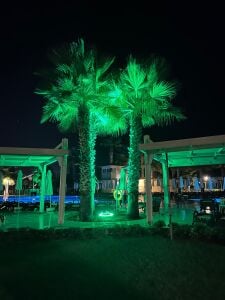 45W LED Ağaç Aydınlatma Armatürü | Çember, Dairesel ve Palmiye Aydınlatma Sistemi
